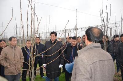 专家圈点国内花卉业急需的十大关键技术