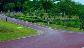 加强园林绿化工程建设 提升城市园林绿化水平