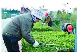盘点近年全国卷不正经高考题