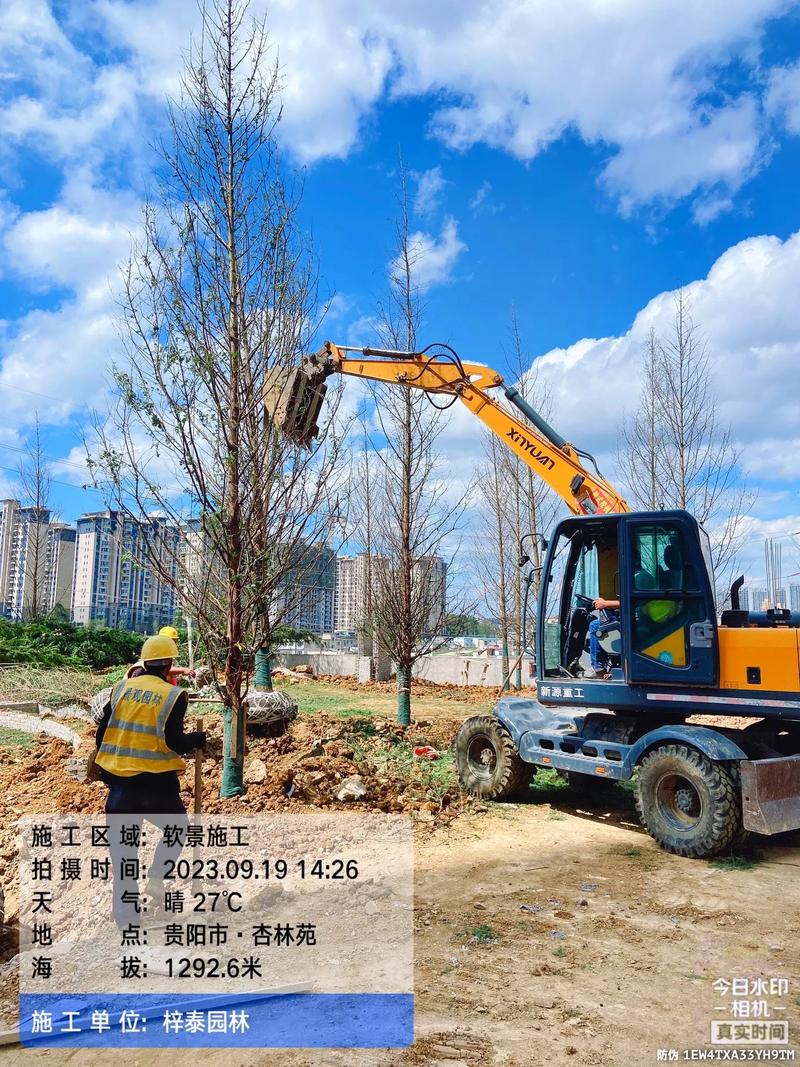 园林绿化工程苗木人 #施工现场实拍 #市政工程 #小区绿化 - 兑趑