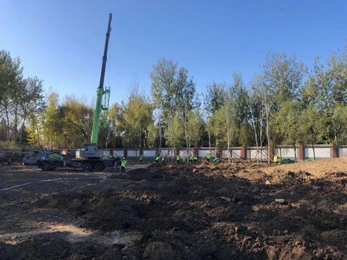 工作动态 区园林绿化服务中心加强项目施工现场管理 严把质量关
