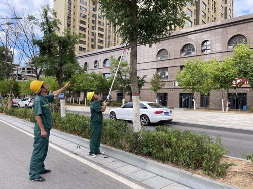 持续发力 筑牢园林绿化施工作业安全屏障