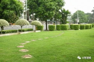 江阴出台园林绿化工程招投标管理新规 信用纳入核心评价指标