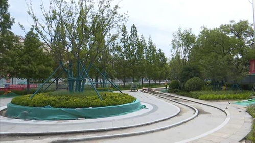 进度过半！胶州在建公园端倪初现，土石方工程稳步推进