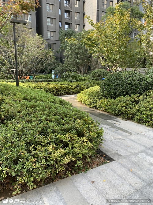 景观园林绿化摄影图与工程施工 艺术与技术的交融