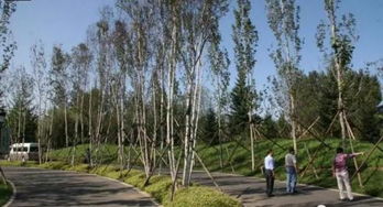 园林绿化工程的定额套用 土石方工程施工详解