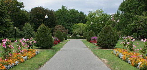 2017年长春市园林绿化资质升级材料的规范性要求