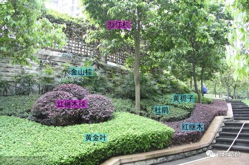 绿化养护期到底从哪开始计