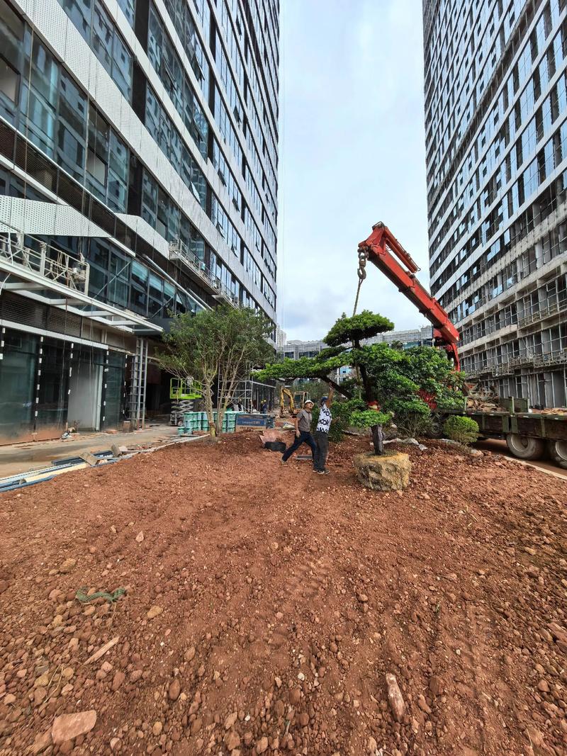 园林景观绿化的尽头是什么#施工现场实拍 #园林绿化工程