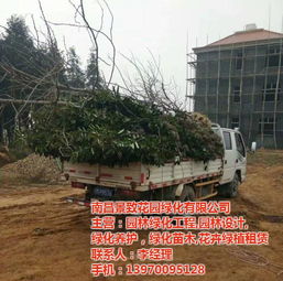 园林绿化 景致花园绿化企业 园林绿化工程