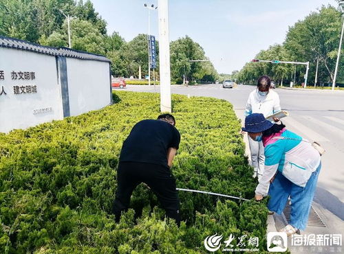青州市园林绿化和环卫中心 卡准绿化施工精度尺，拉紧项目验收质量绳
